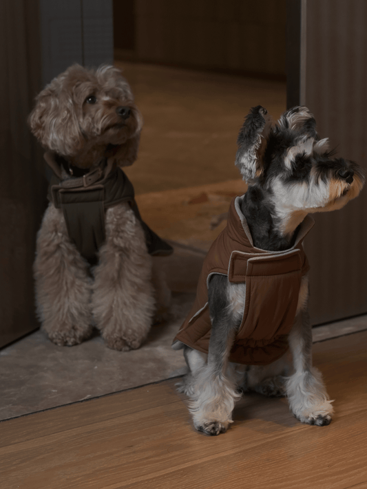 Reversible Dog Vest Jacket - Orange Grey
