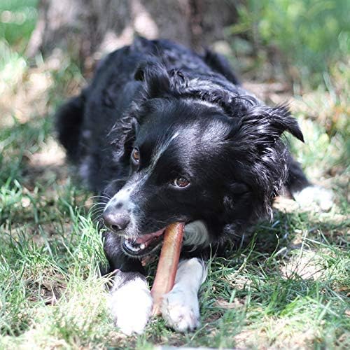 100% Natural Brazilian Bully Sticks - 1 lb Bag 10.00% Off Auto renew