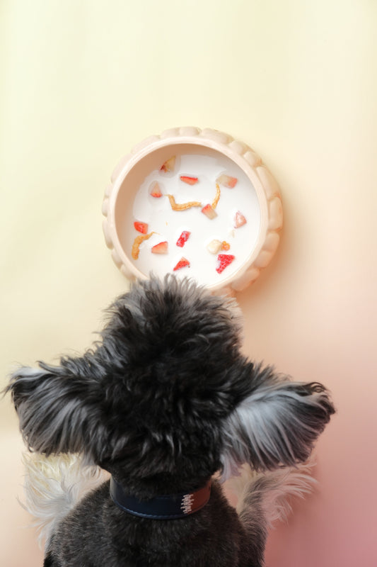 Puff Pet Bowl - Gradient Caramel