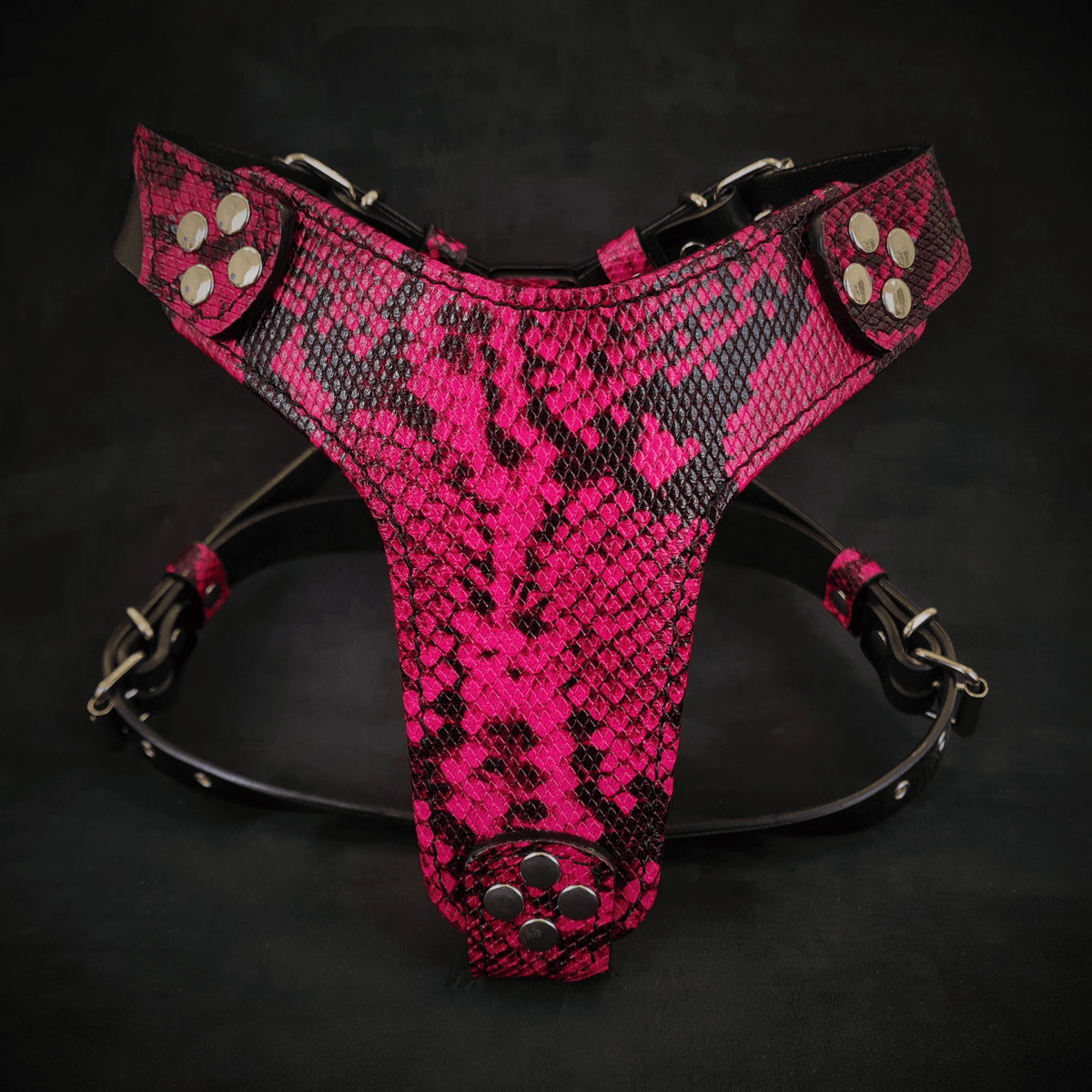 The ''Rock Python'' harness Small to Medium Size