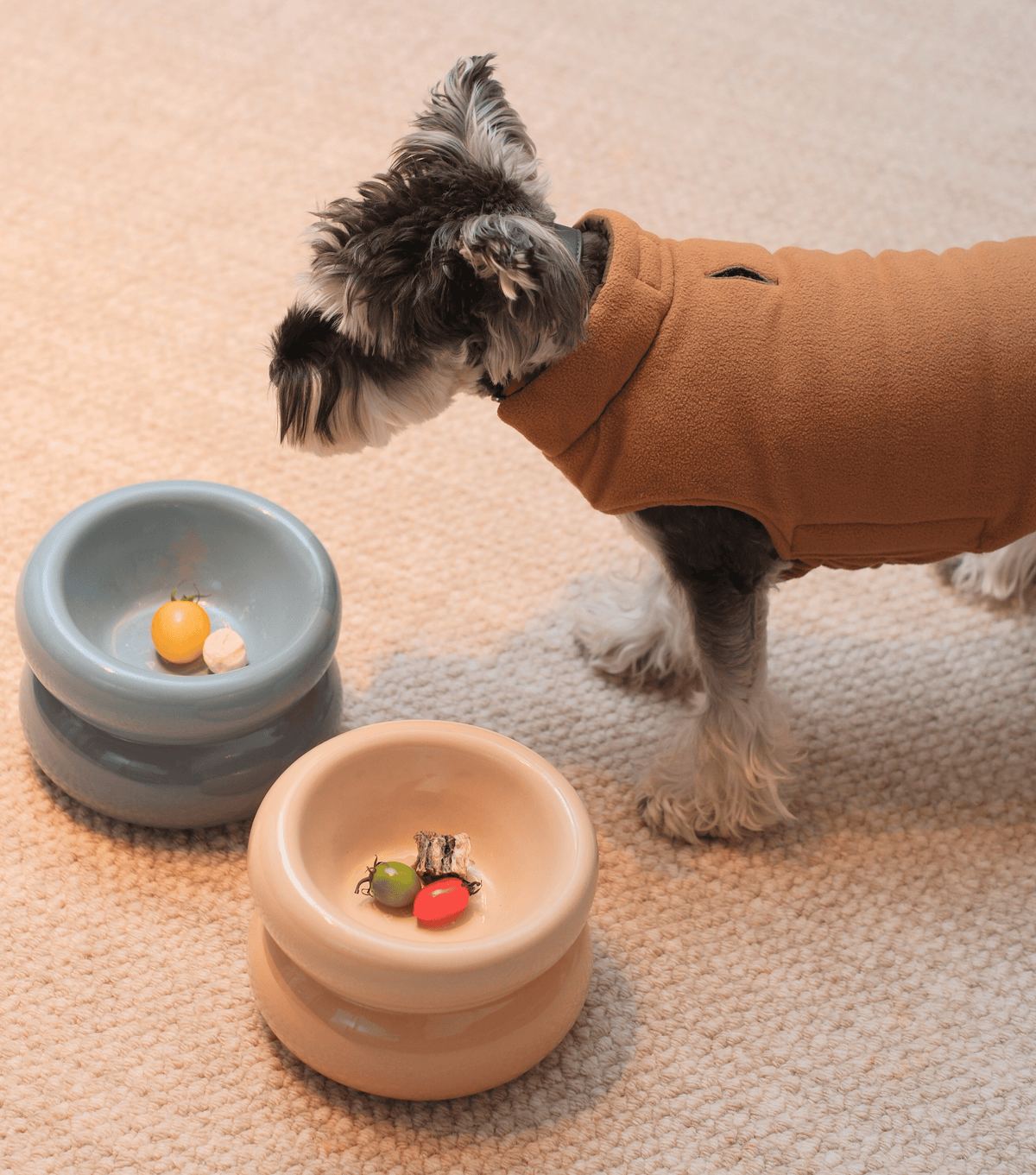 Soufflé Pet Bowl - Cream Beige