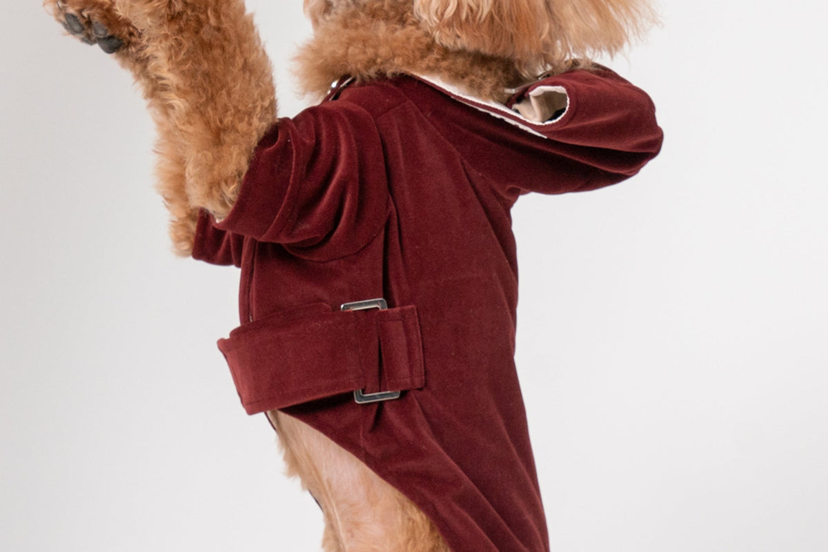HUSTON HOODIE - DARK BURGUNDY