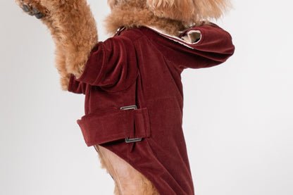 HUSTON HOODIE - DARK BURGUNDY