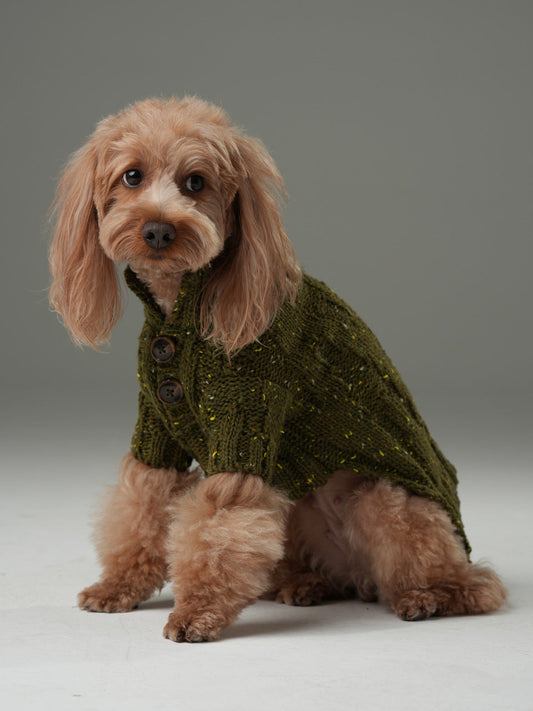 GLACIER PET SWEATER - OLIVE GREEN