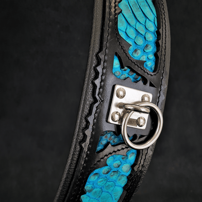 The ''Morelia Python'' collar