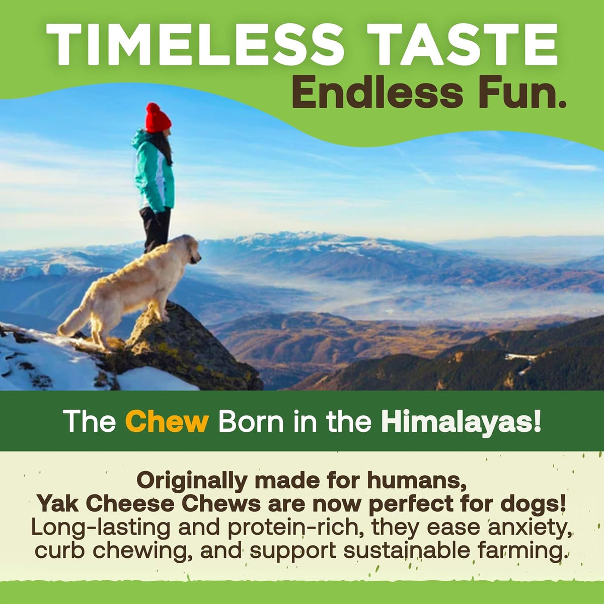 Gold Yak Chews for Medium Dogs (3 Medium Sized Chews)