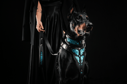 The ''Morelia Python'' harness