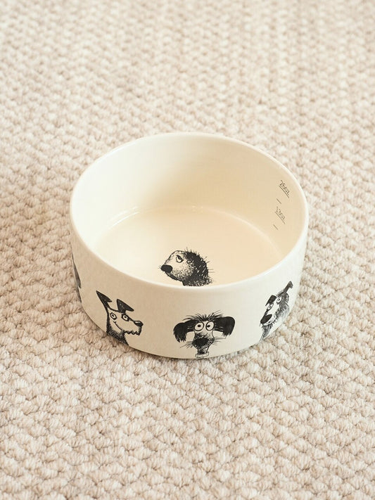 DERPY BOWL