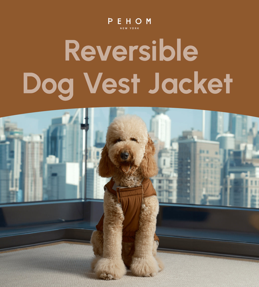 Reversible Dog Vest Jacket - Orange Grey