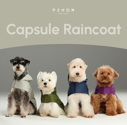 Capsule Raincoat - Beige