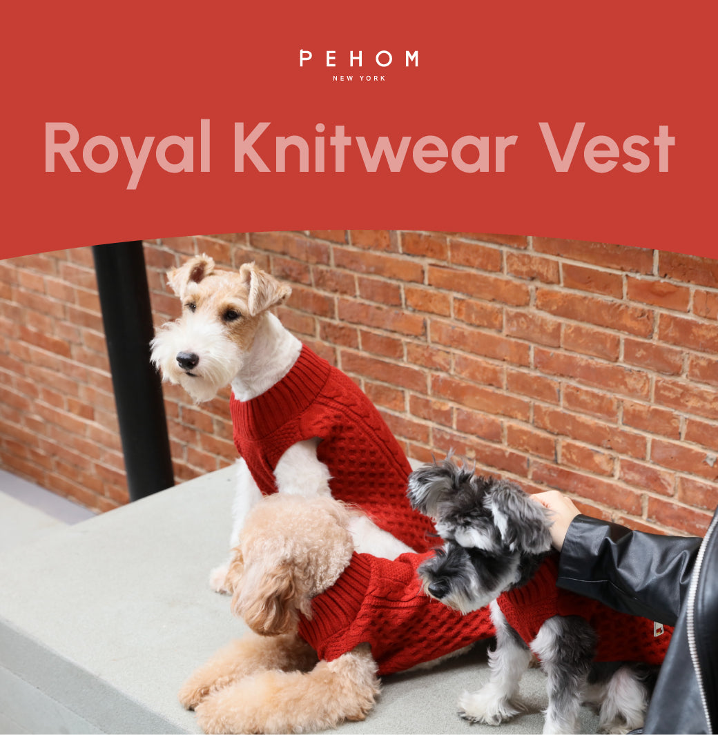 Pet Sweater Vest - Red
