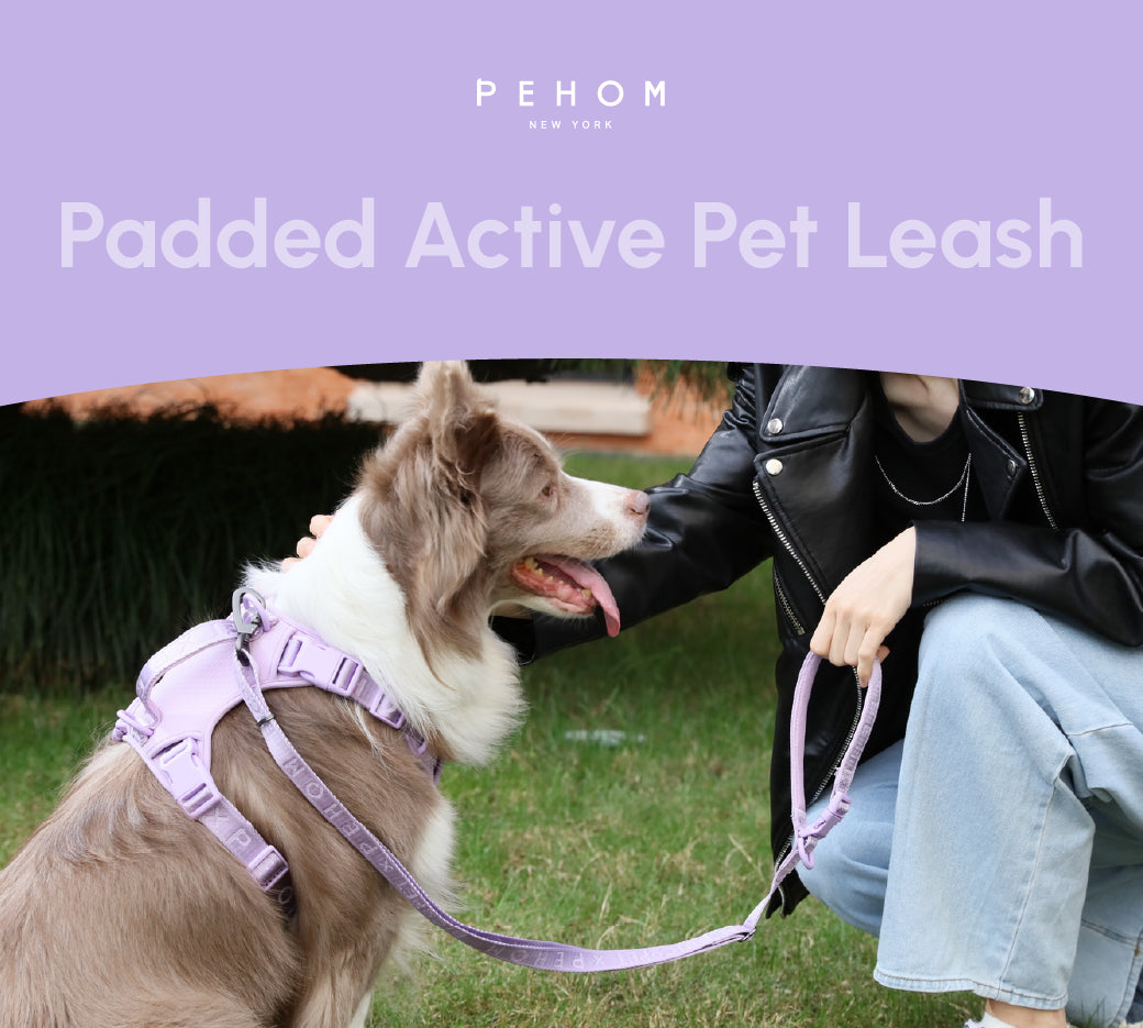 PADDED  ACTIVE  PET LEASH  - MINT PURPLE