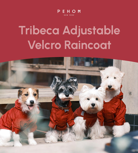 Tribeca adjustable velcro raincoat -  Burgundy