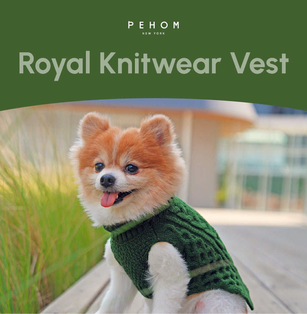 Pet Sweater Vest - Green