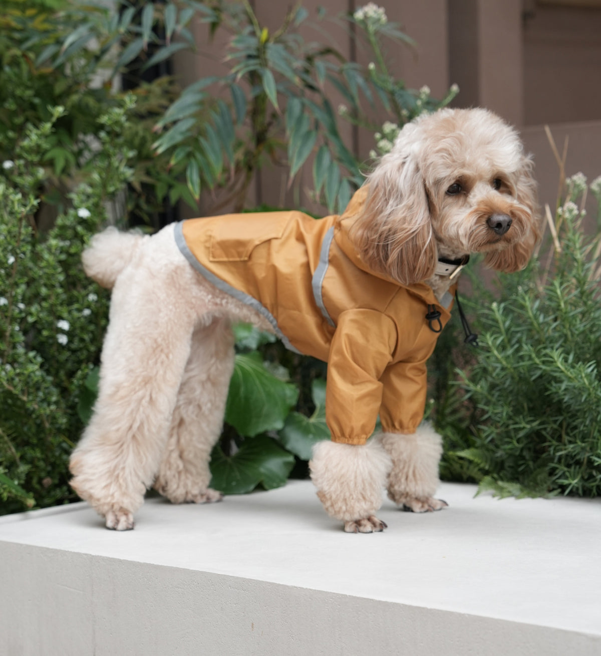 Ultralight Full covered hooded waterproof dog jacket - Yellow