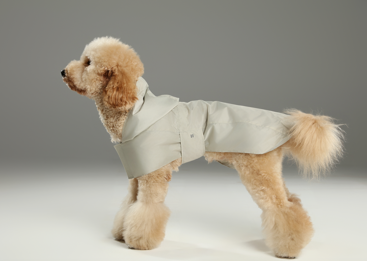 Capsule Raincoat - Beige