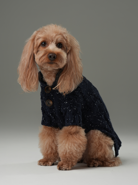 GLACIER PET SWEATER - NAVY