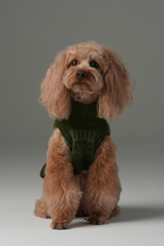 Pretzel Pet Sweater - Olive Green