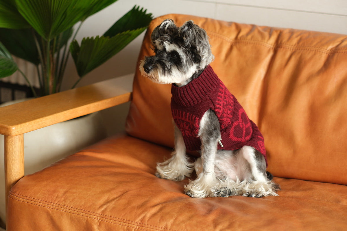 Pretzel Pet Sweater - Burgundy Red