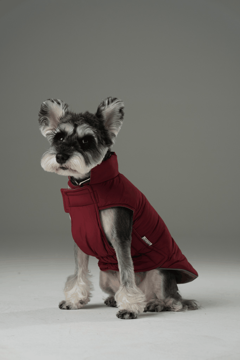 Reversible Dog Vest Jacket -  Red Brown
